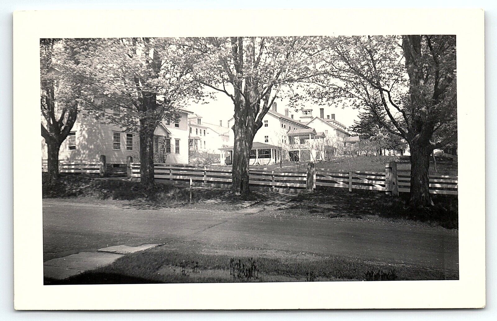 1940s LARGE HOMES DOGWOOD LINED STREET UNKNOWN SOUTHERN RPPC POSTCARD P3028