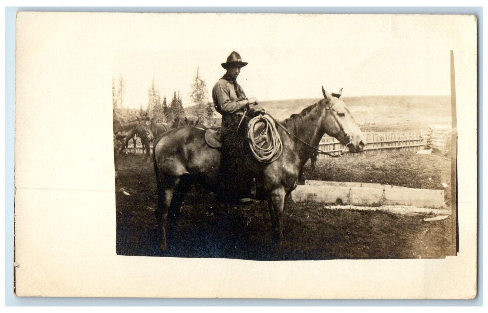 c1910\'s Cow Cattle Rancher Horse Ride Near Barn RPPC Photo Antique Postcard
