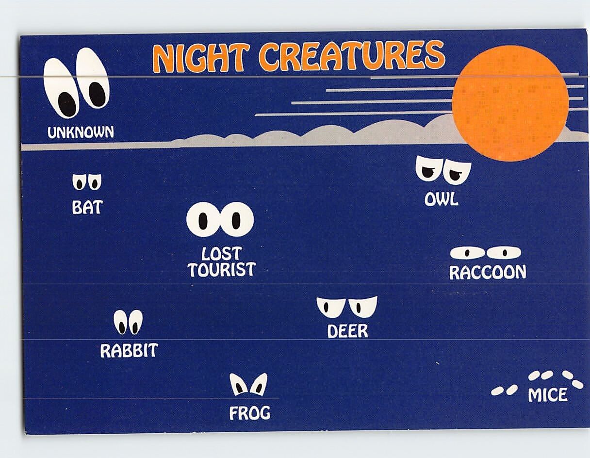 Postcard Night Creatures