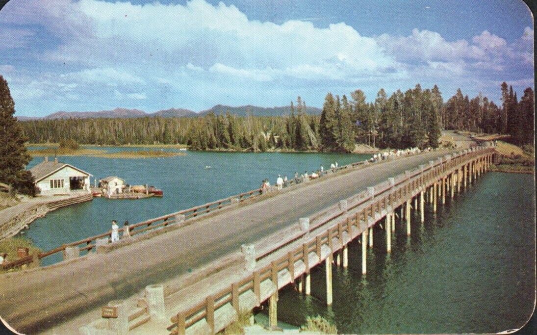 Postcard-Fishing Bridge Yellowstone River, Yellowstone National Park 2163