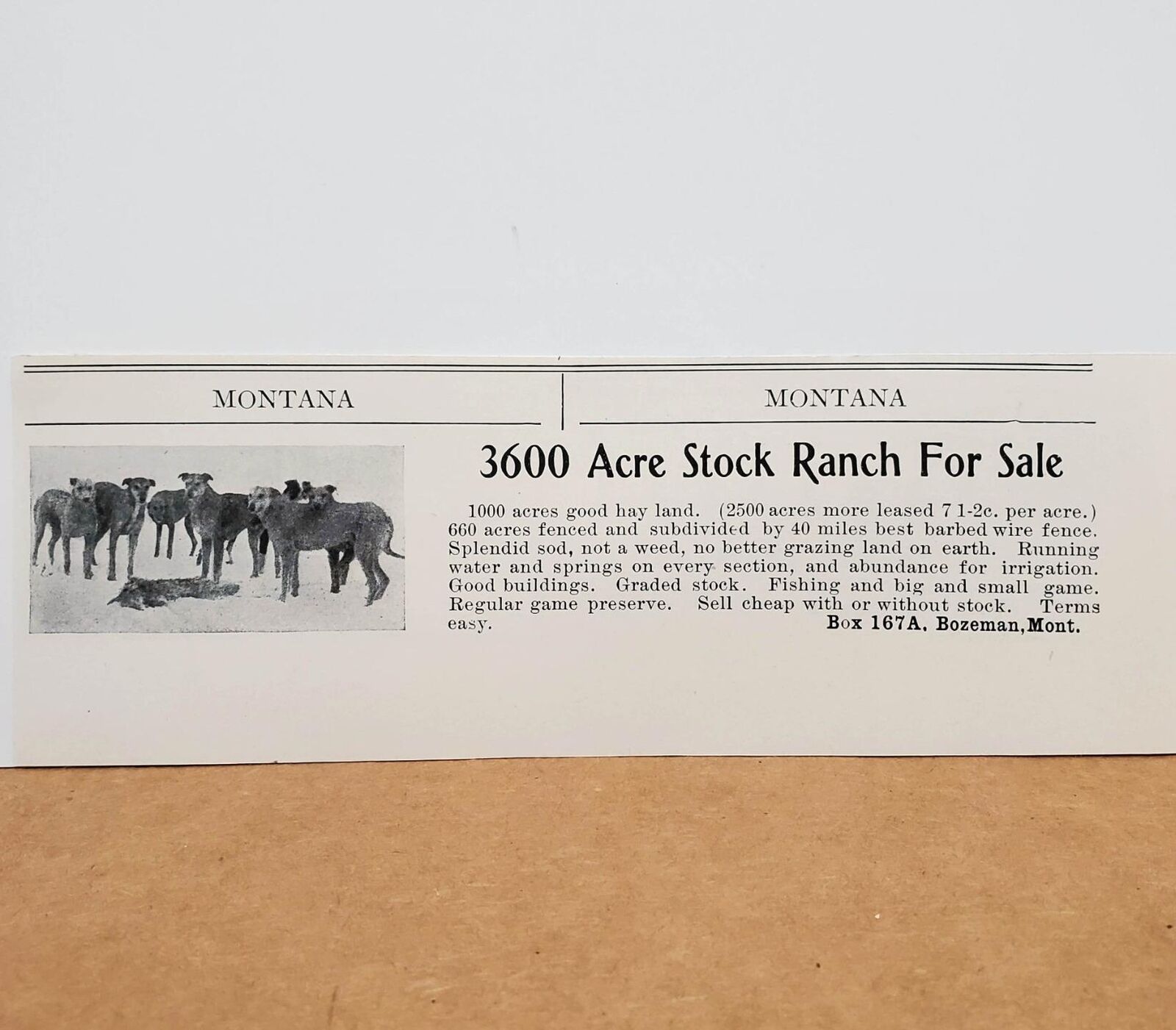 1909 Bozeman Montana Stock Ranch 3600 Acres Game Preserve Photo Print AD