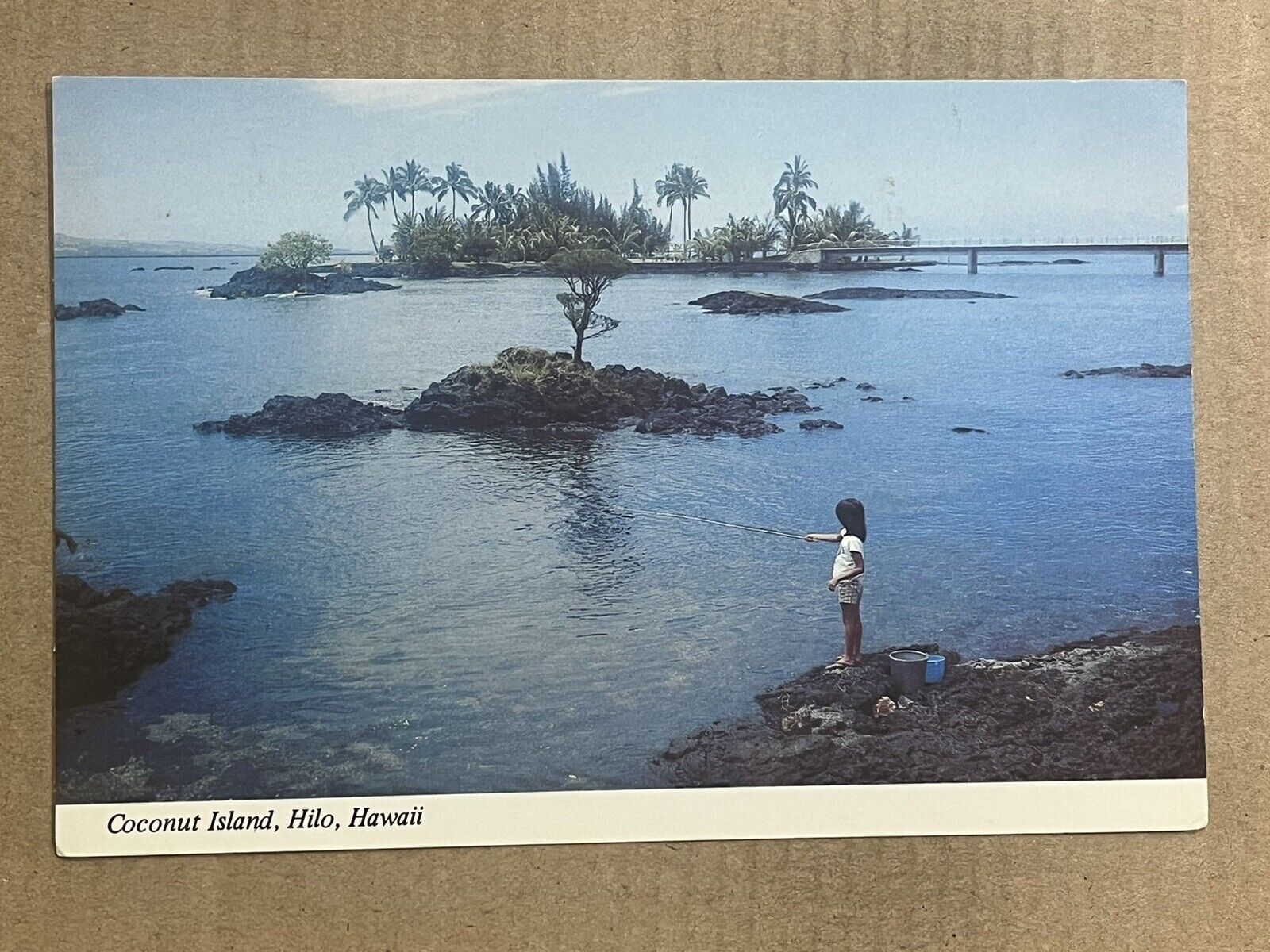 Postcard Hilo HI Hawaii Coconut Island Vintage PC
