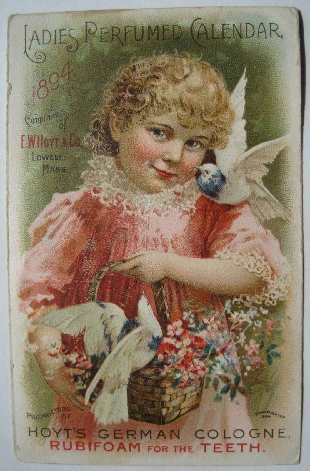 Lewiston MN Old 1894 Calendar Girl & Birds Hoyt's German Cologne; nr St. Charles
