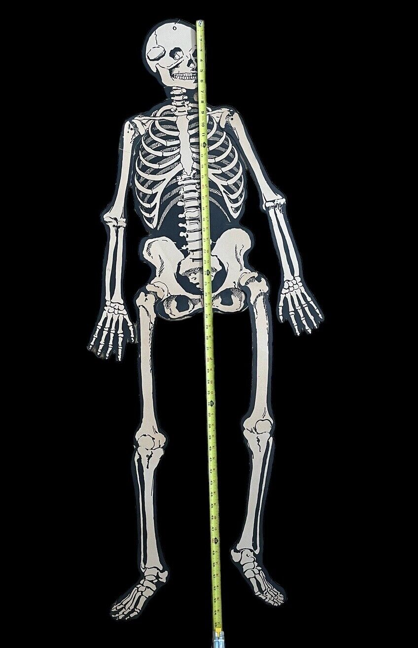 Life Size Vintage Antique 1940\'s Halloween Beistle Diecut Jointed Skeleton 54\