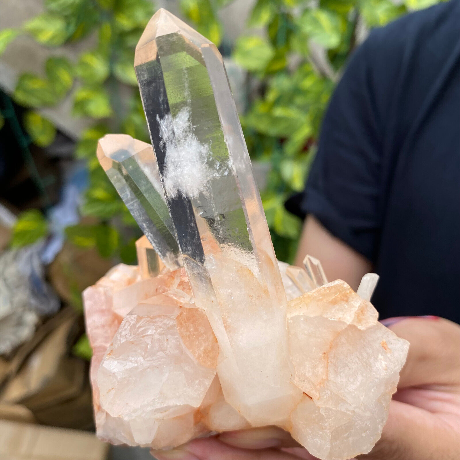 275g Natural Clear White Quartz Crystal Cluster Rough Healing Specimen