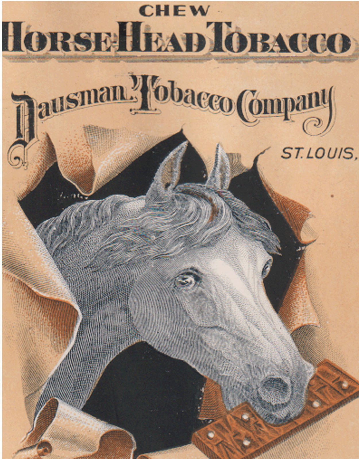 ST LOUIS, MO TRADE CARD, DAUSMAN TOBACCO CO, HORSE HEAD CHEWING TOBACCO   X1065