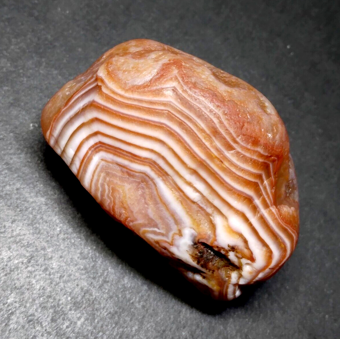 Lake Superior Agate 0.75 oz \'STUNNING CONTRAST CANDY BANDED\' Rough Lapidary Gem