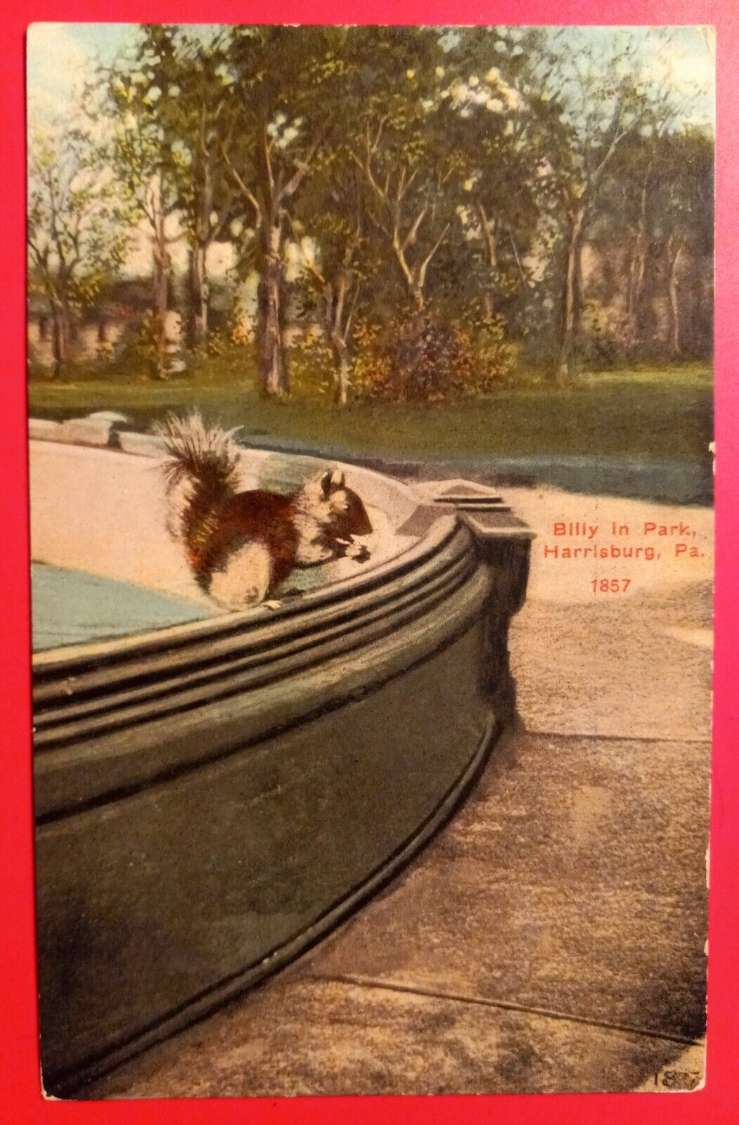 BILLY The SQUIRREL In CAPITOL PARK Harrisburg PA Antique Postcard Pennsylvania