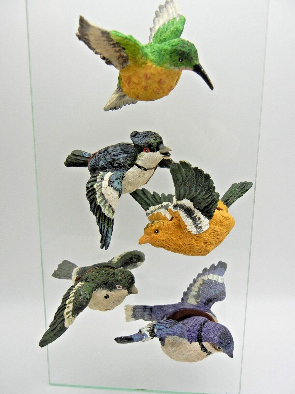 Set of 6 Birds Flying Through Screen Glass Window Magnets 3D 2 Piece Resin