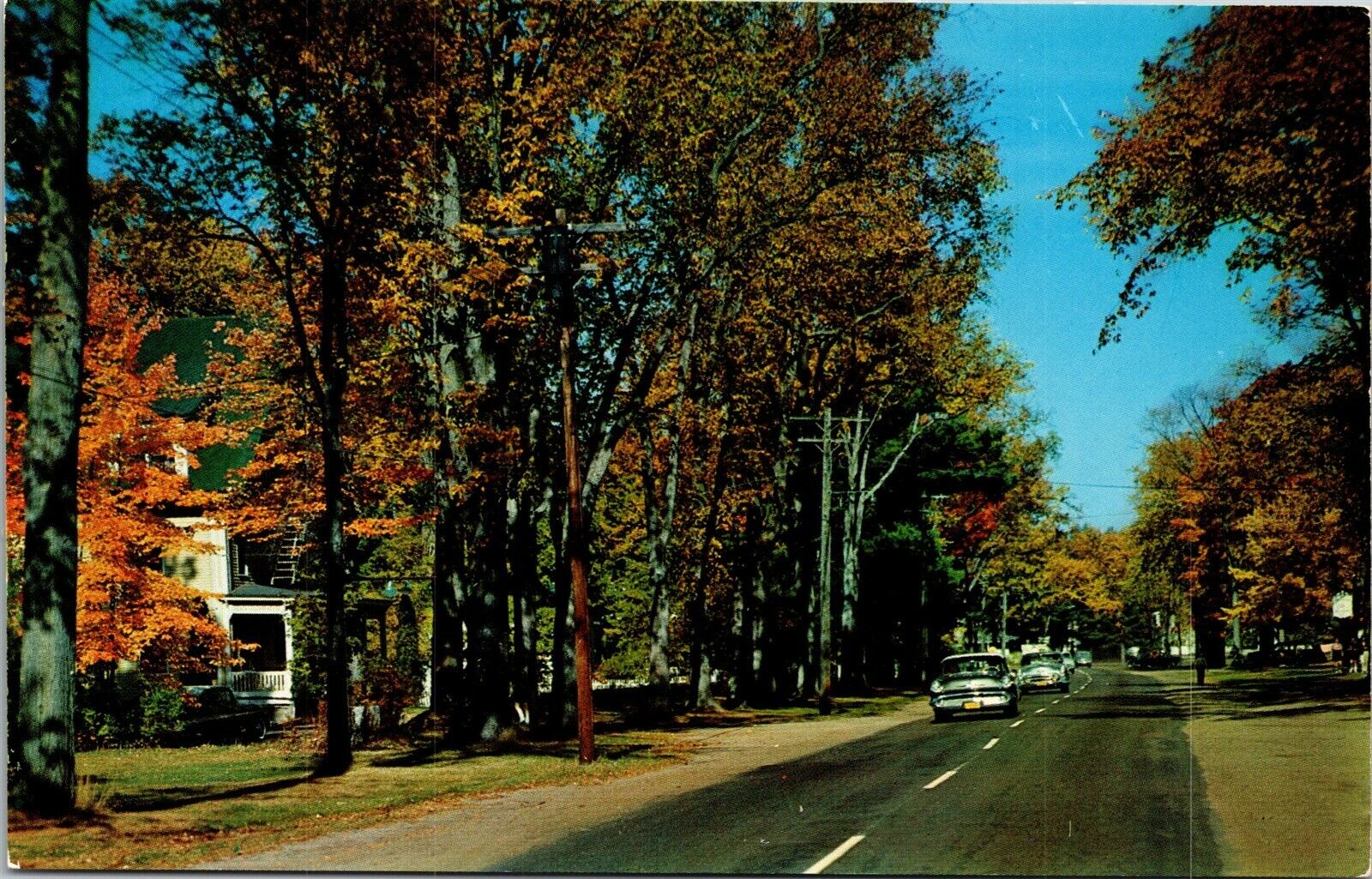 Vtg Greetings from Fryeburg Maine ME Scenic Street View 1950s Postcard