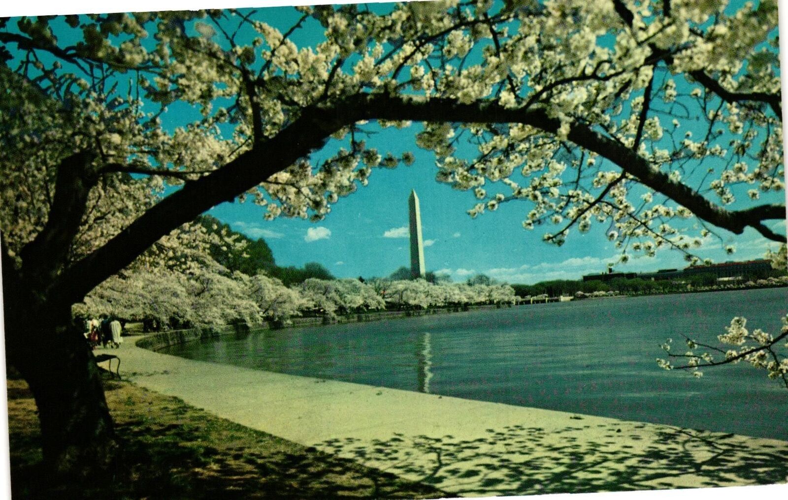 Vintage Postcard- WASHINGTON MONUMENT, WASHINGTON, D.C.