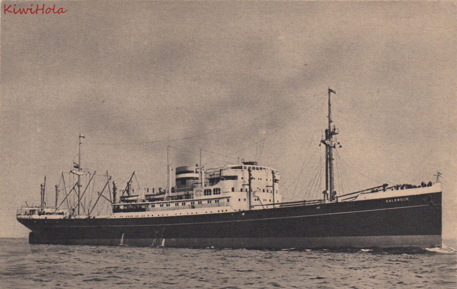 Postcard Ship MV Dalerdijk Holland America Line