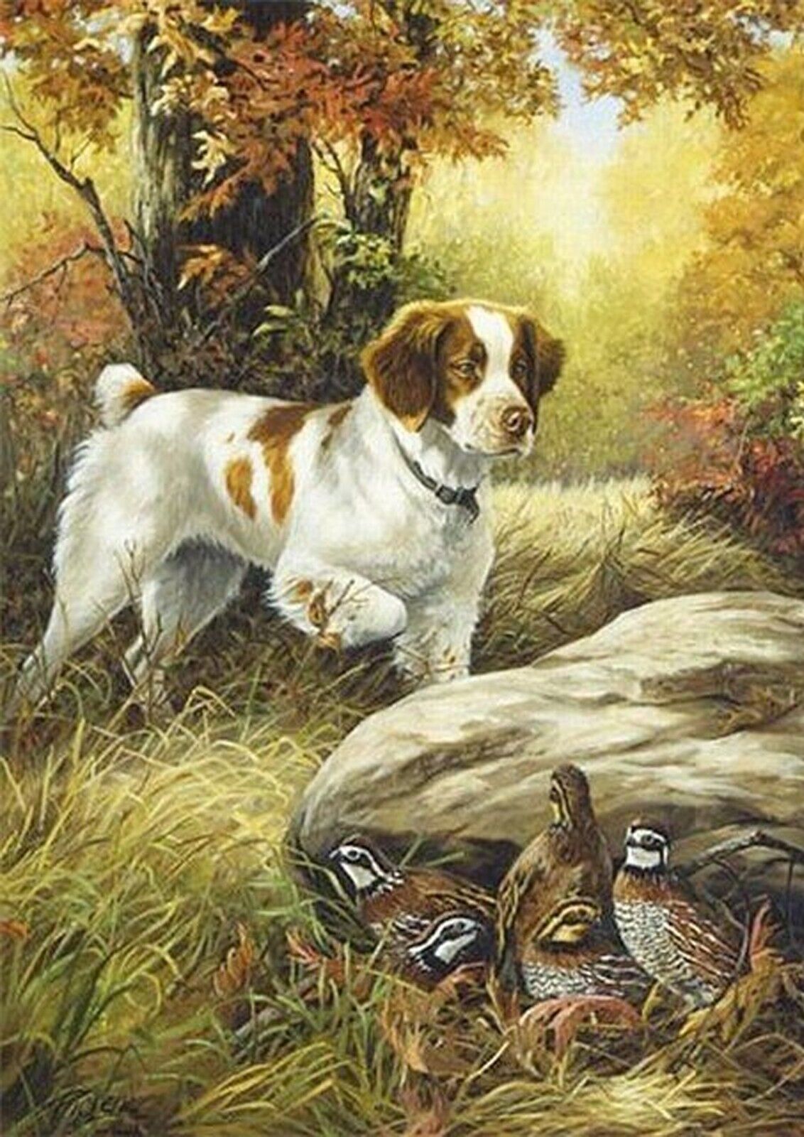BRITTANY SPANIEL DOG AND BIRDS GREETINGS NOTE CARD