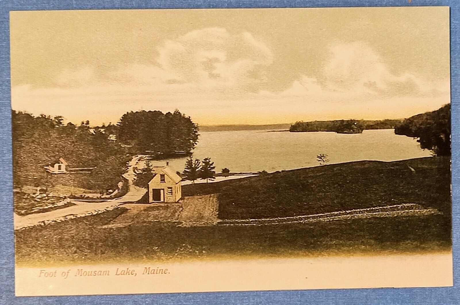 ME - ACTON SHAPLEIGH MAINE UDB Postcard FOOT OF MOUSAM LAKE