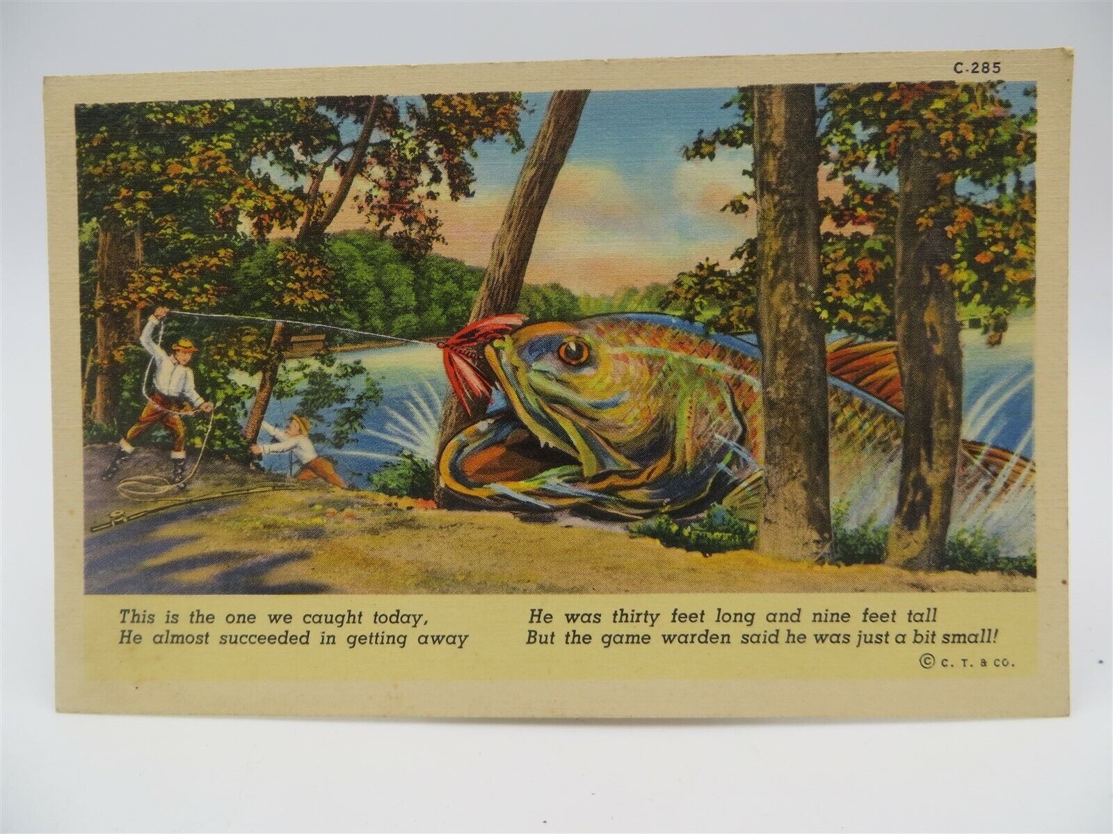 Vintage Postcard - Humor - Giant Fish Caught - Fishing 30 Foot Fish - Unused