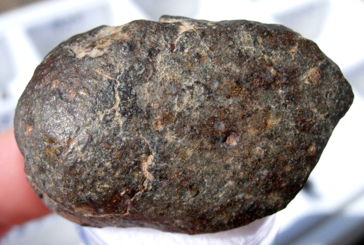 25.4 grams NWA 869 Meteorite ( class L3-6 ) as found individual with a COA