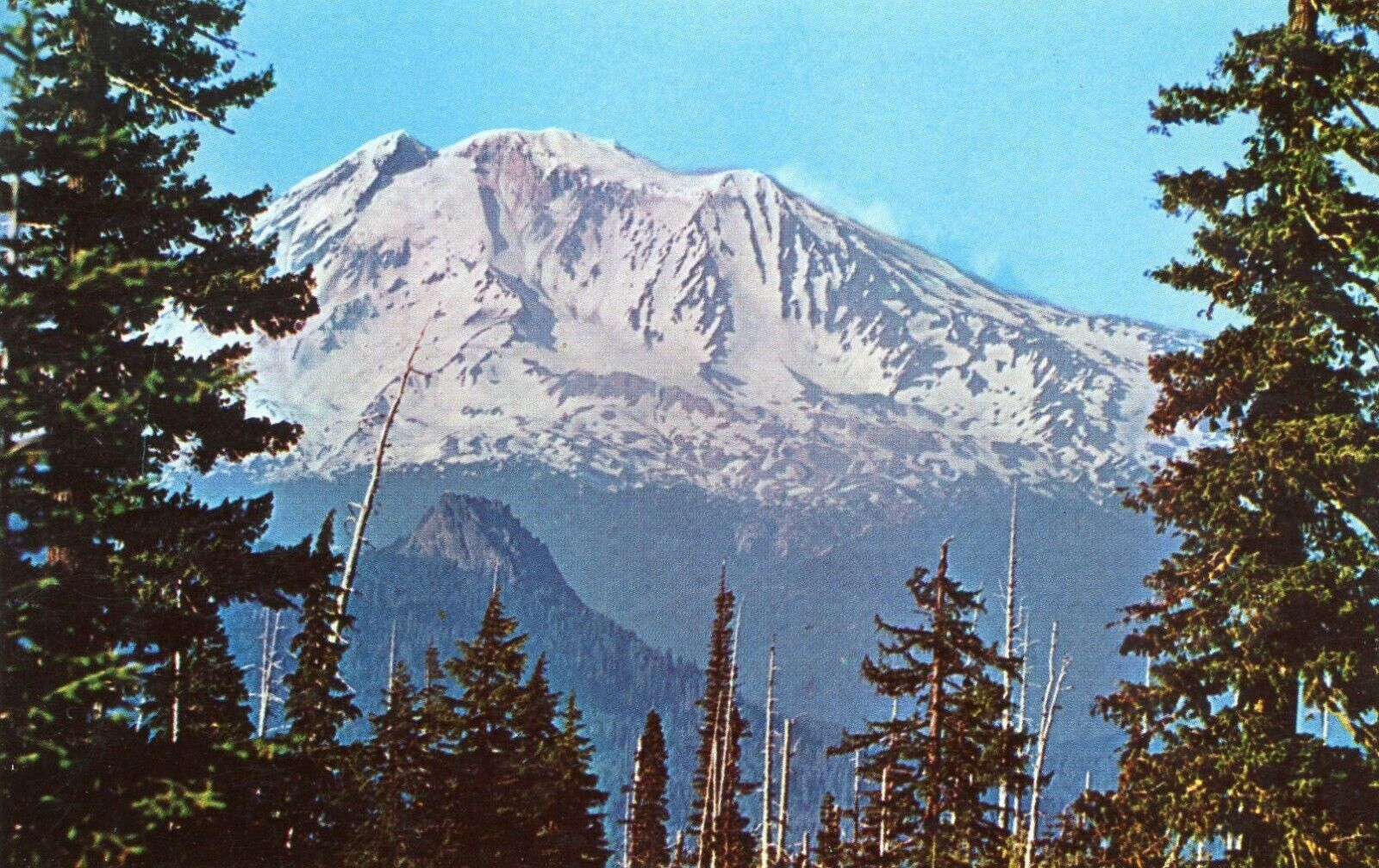 Mount Adams, Gifford Pinchot National Forest, Goldendale, Washington --POSTCARD