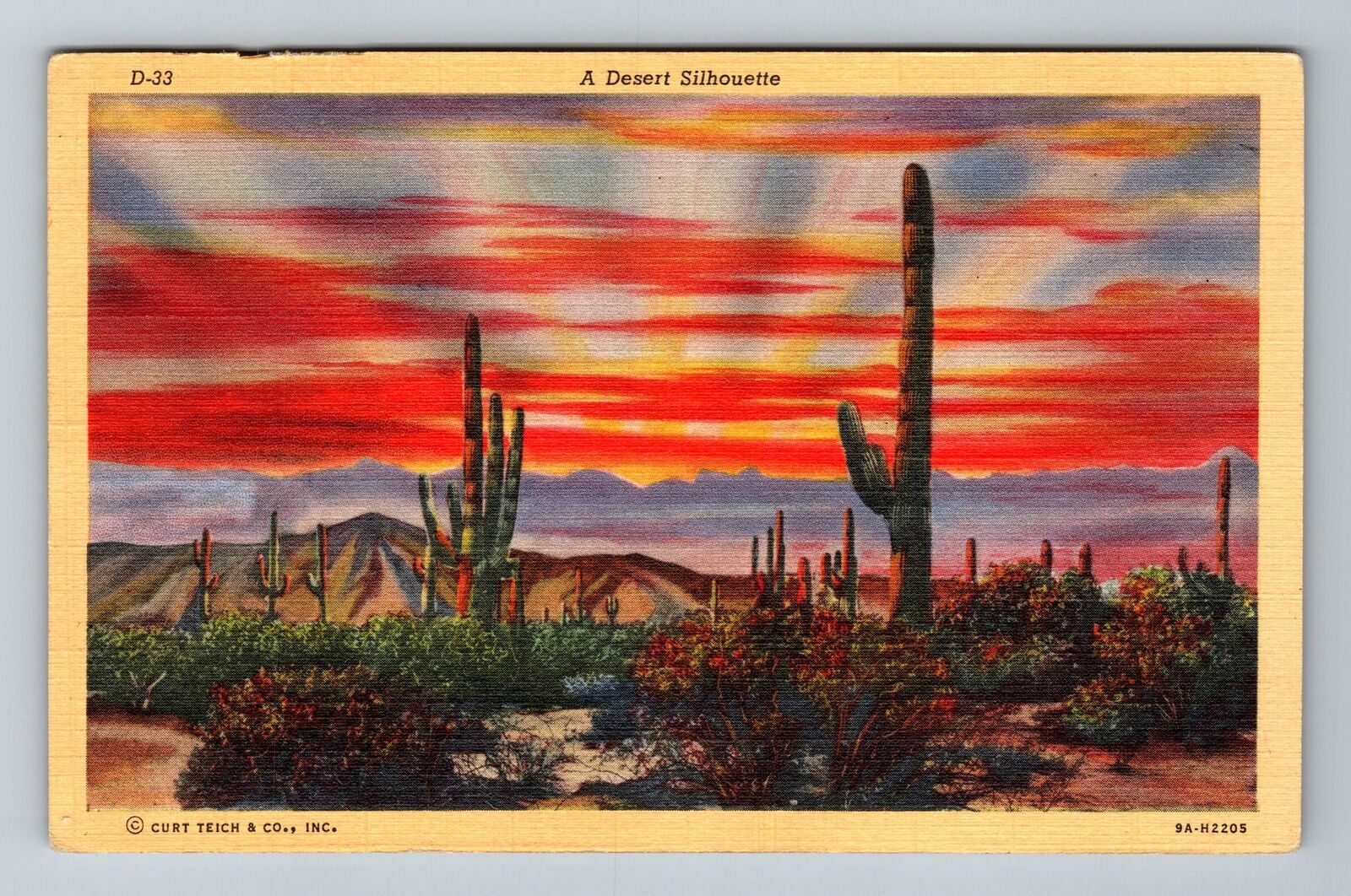 A Desert Silhouette At Sunset Vintage Souvenir Postcard