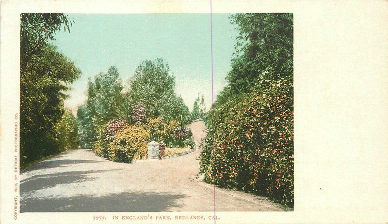 C-1905 England\'s Park Redlands California Detroit Photographic Postcard 20-7588