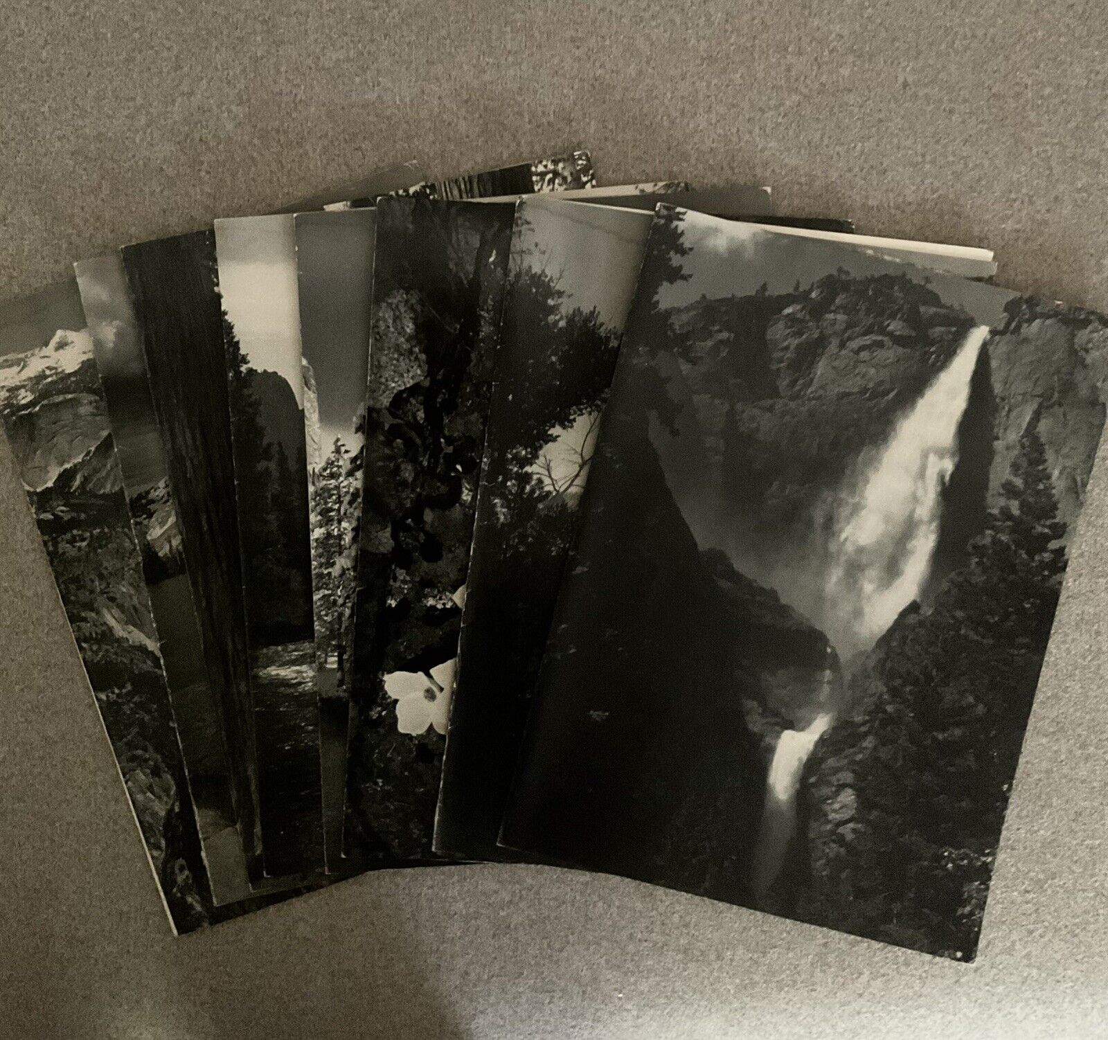 7 Menus from Ahwahnee Hotel Yosemite 1957 Ansel Adams Covers