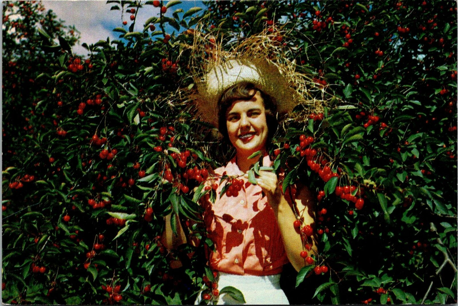 Vintage PPC - National Cherry Festival Queen, Michigan - F19523