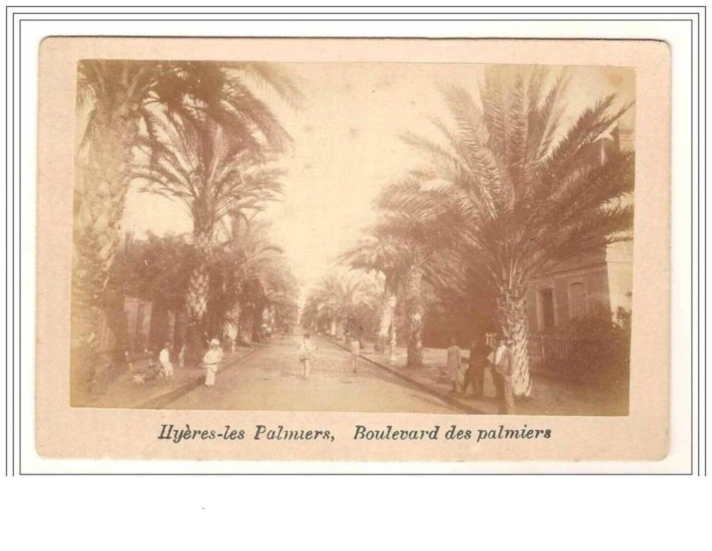 83 HYERES.1890. 11 CM BY 16 CM. TRUE PHOTO OF CHAMBERLAIN.n°10.BLD DES