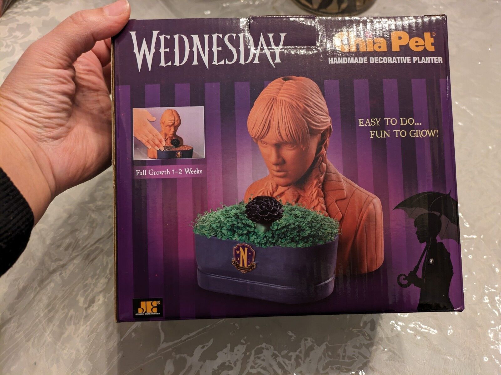 New In Box, Chia Pet Wednesday with Seed Pack, Decorative Pottery Planter