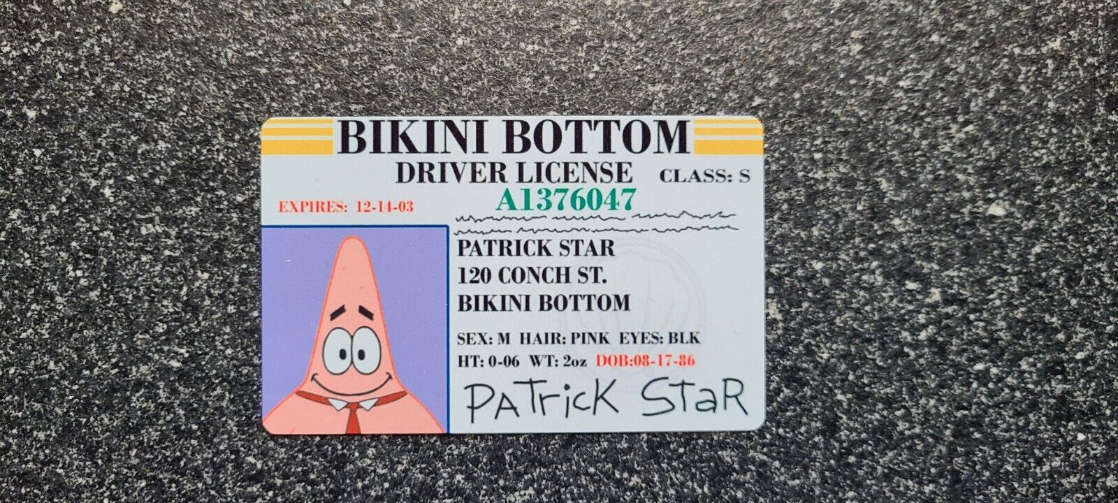 SpongeBob- Patrick Star Driver License Sublimated Fun Gag Gift