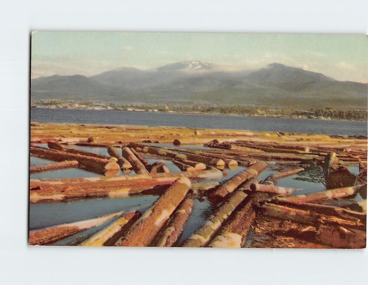 Postcard Logging center Juan de Fucca Straits Port Angeles Washington USA