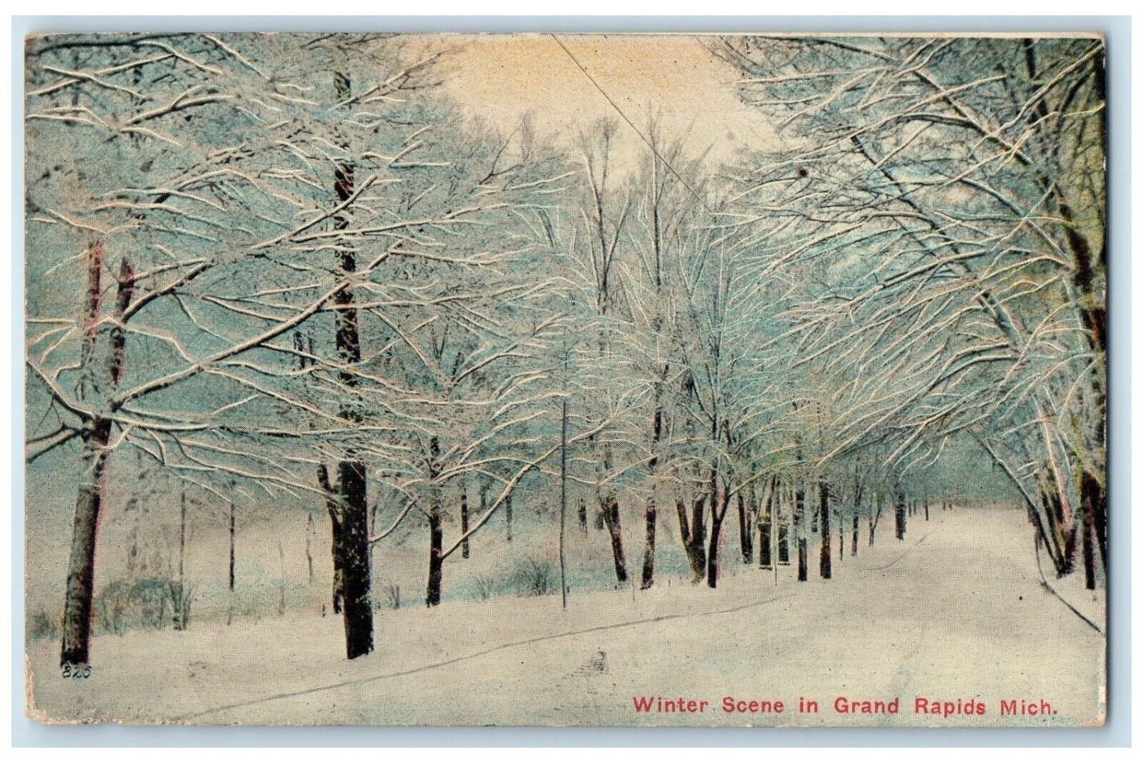 1919 Winter Scene Snow Trees Road Street Grand Rapids Michigan Vintage Postcard