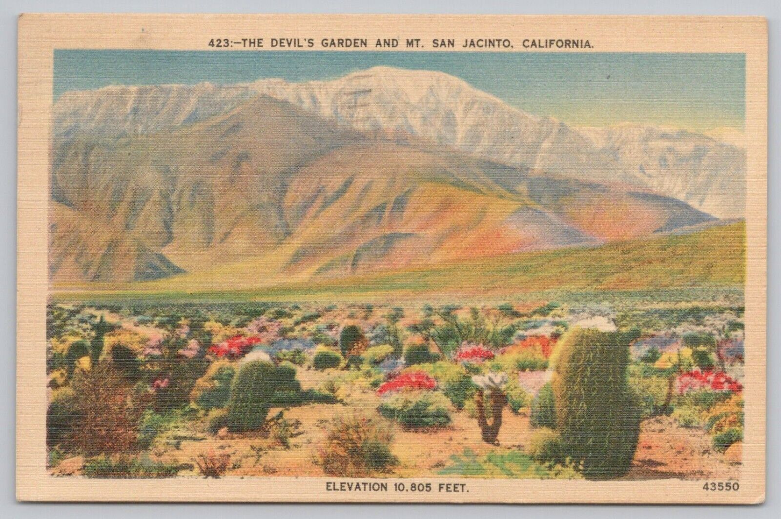 Postcard The Devil\'s Garden and Mt. San Jacinto, California, Posted 1948