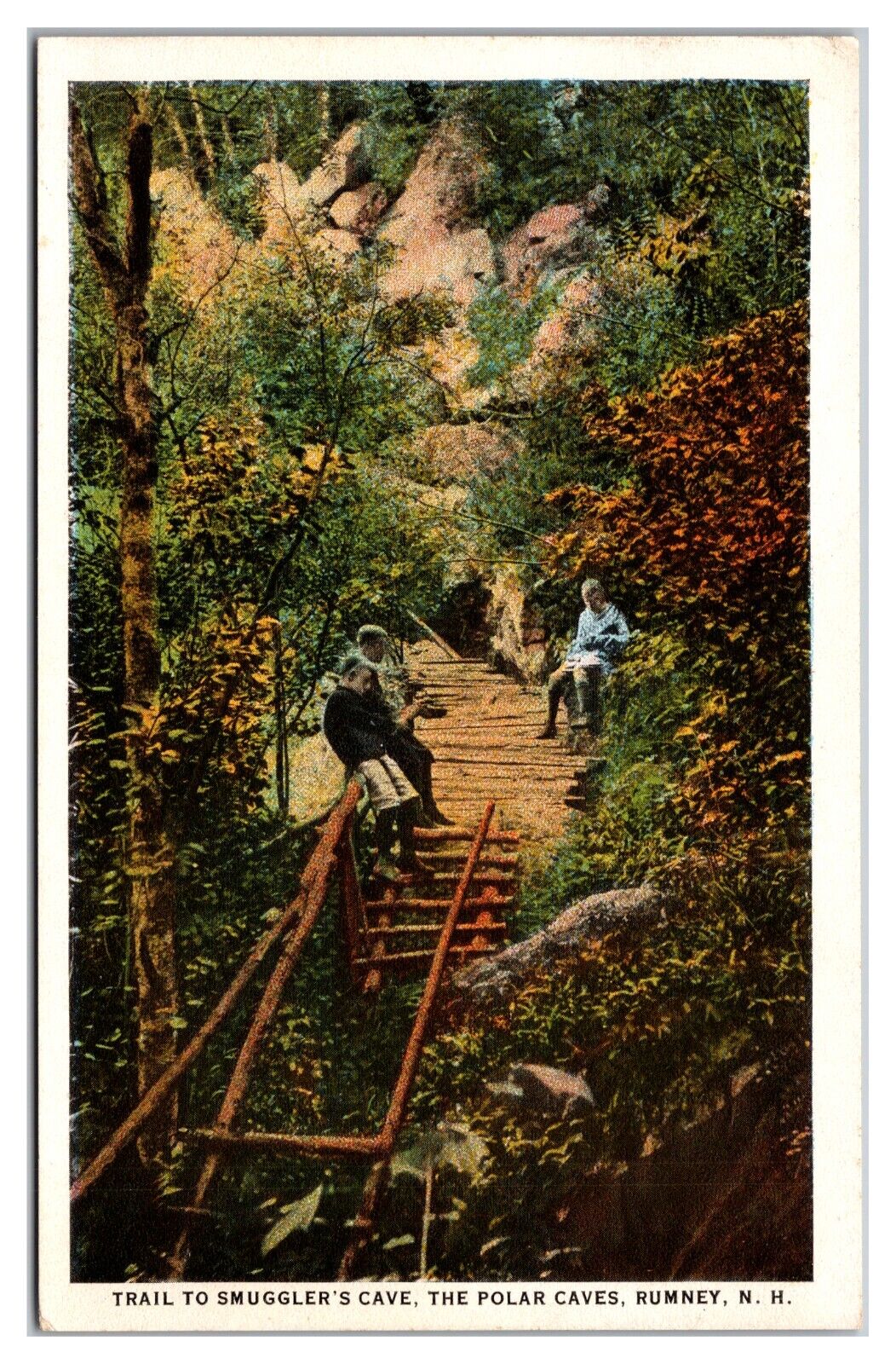 Trail To Smuggler\'s Cave The Polar Caves Rumney NH Log Ladder