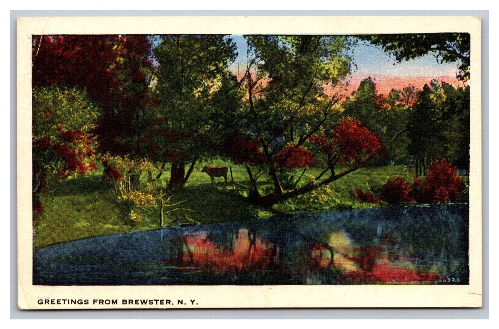 Brewster NY New York Greetings From Cow Pond Nature Scene Linen Postcard