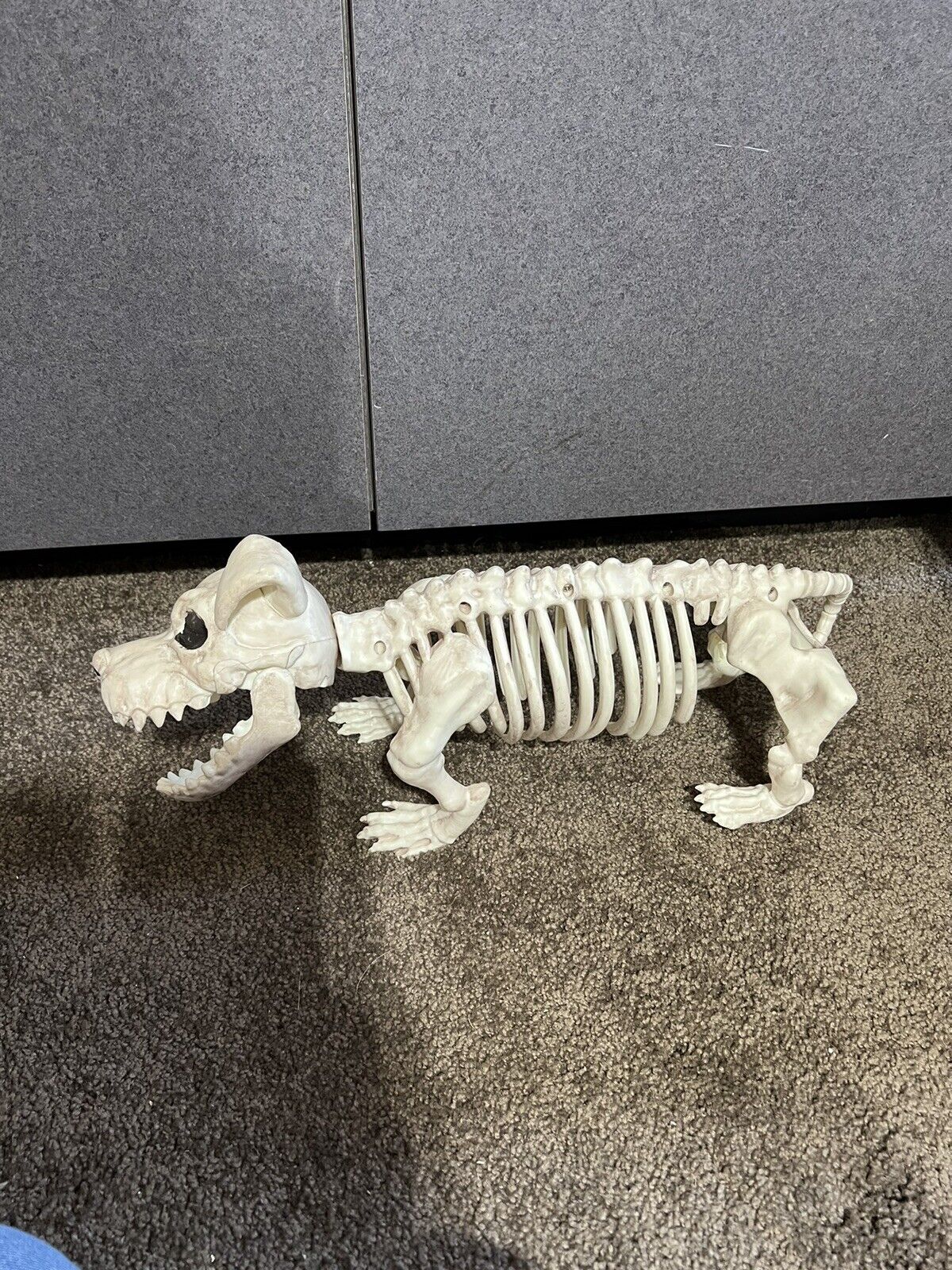 Beagle Bonez Skeleton Dog Prop Puppy Corpse Halloween Decoration Plastic