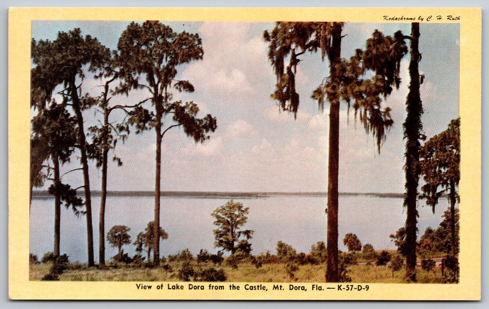Postcard View Lake Dora from Castle Mt. Dora Florida *A2080