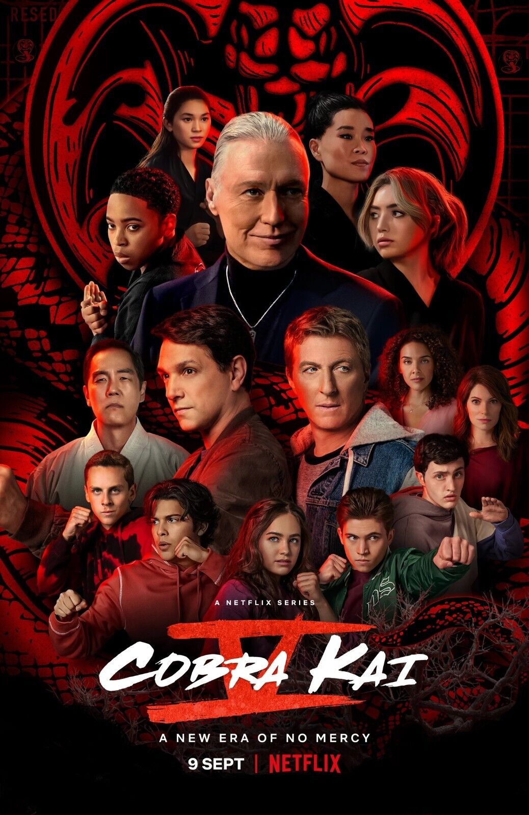 Cobra Kai TV Series Poster | Season 5 | 2022 | 11x17 | NEW | USA