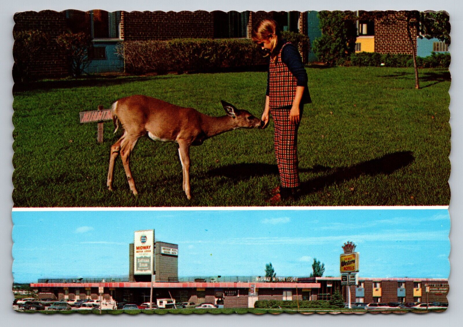 Midway Motor Lodge Madison Wisconsin Vintage Unposted Postcard Hoffman House