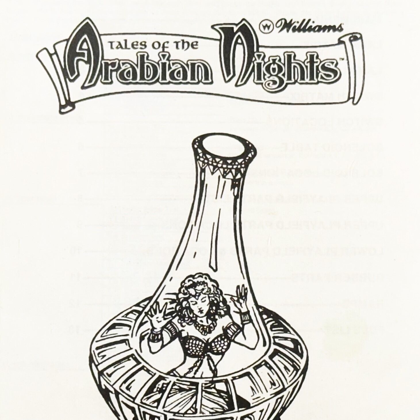 Williams Tales of the Arabian Nights Pinball Machine Manual Operators Handbook