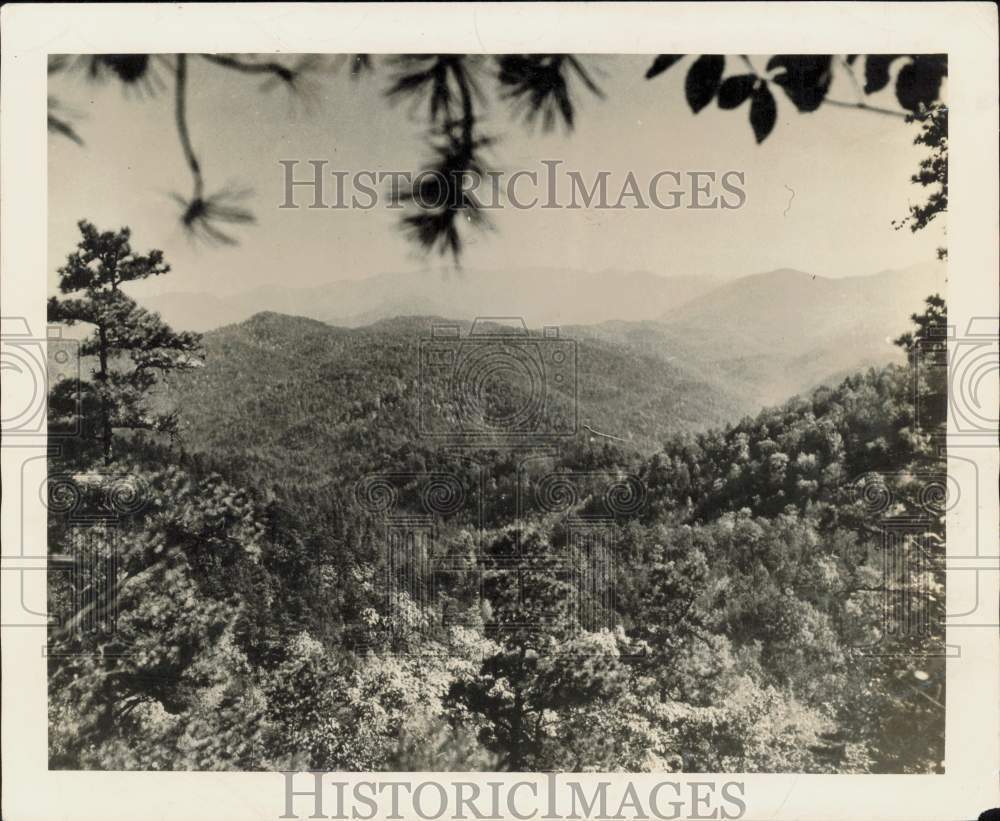 1943 Press Photo General view of Cherokee National Forest in Tennessee