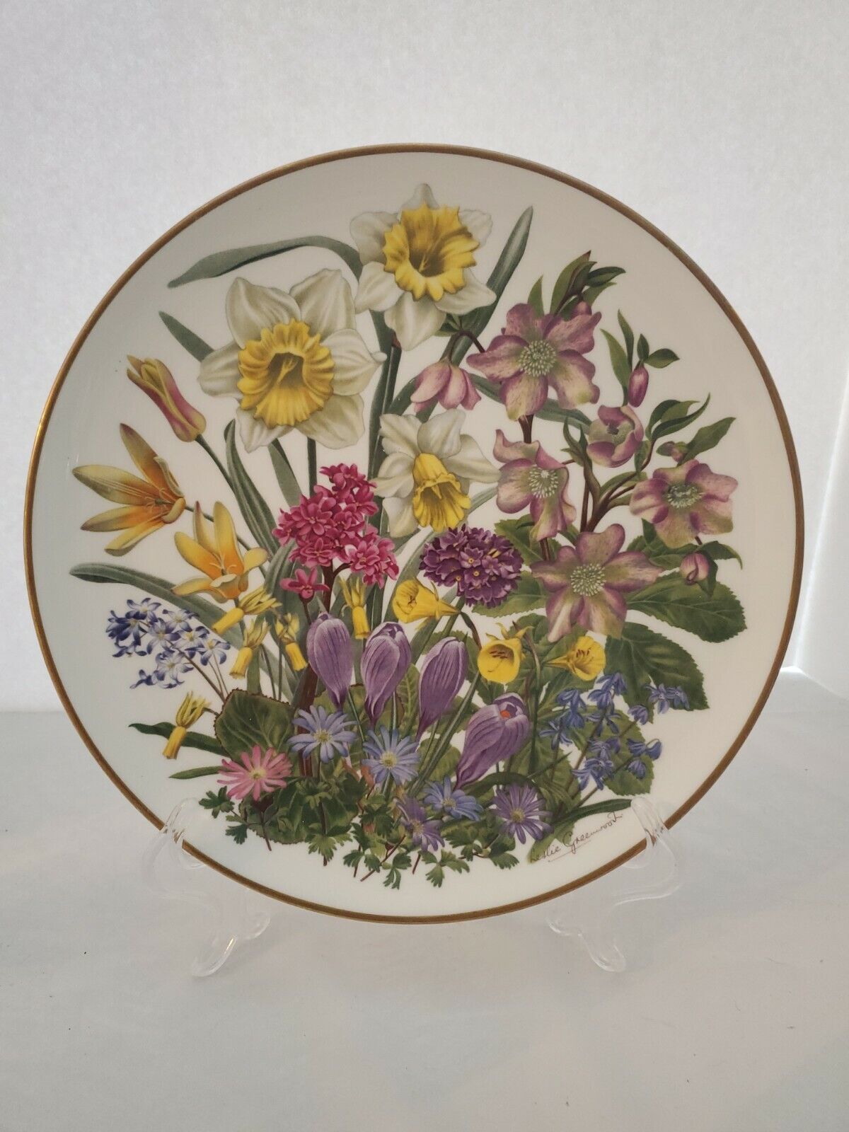 Franklin Mint 1977 Flowers Of The Year Porcelain Plate by Wedgwood –March 10.75\