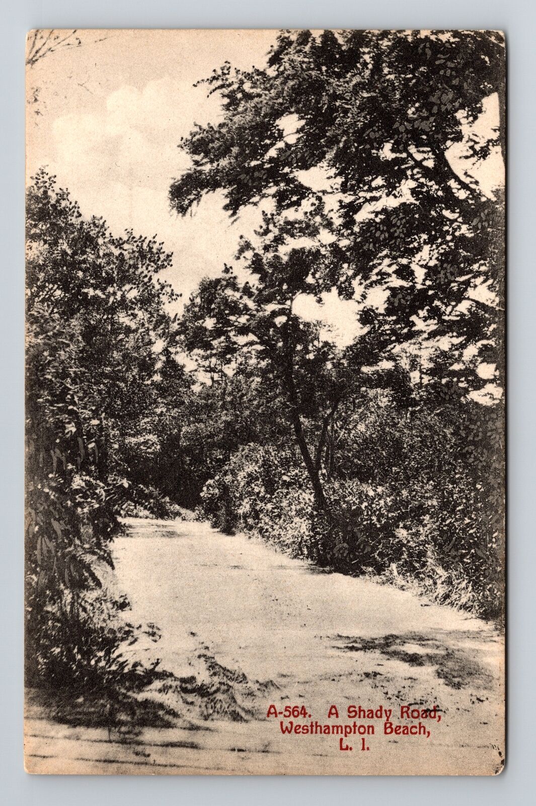 Westhampton Beach Long Island NY-New York, A Shady Road, Vintage Postcard