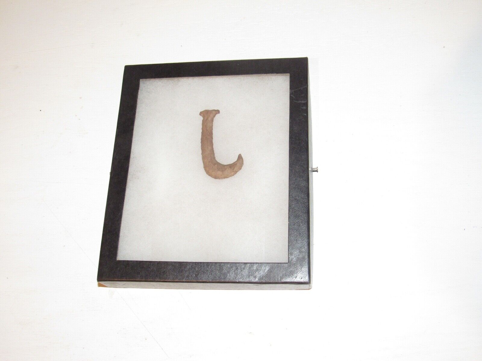 Genuine Bone Fish Hook Encased with a cotton backing - Pre-Historic?
