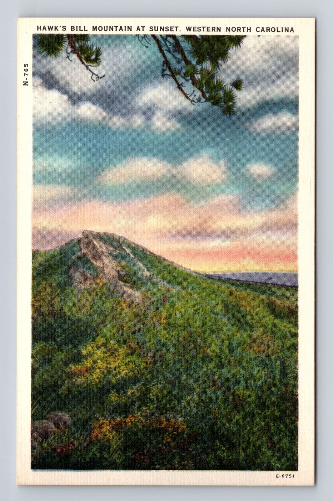 Linville Gorge NC-North Carolina, Hawk\'s Bill Mountain Vintage Souvenir Postcard