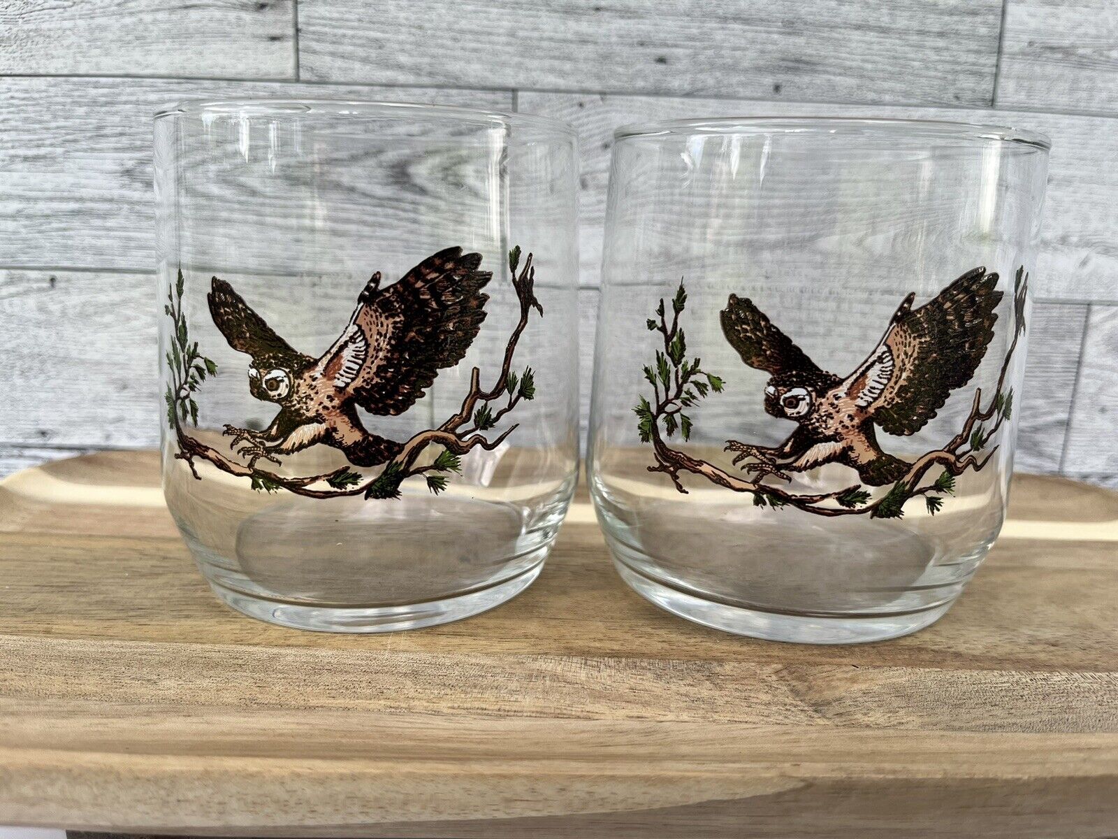 Vintage Sunoco North American Wildlife Glasses Spotted Owl