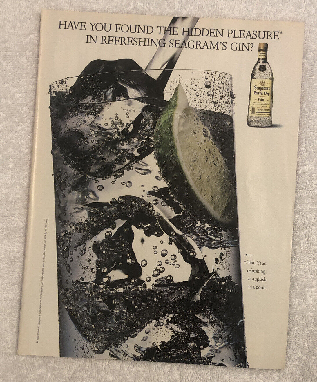 Vintage 1990 Seagram’s Extra Dry Gin Original Print Ad - Hidden Pleasure