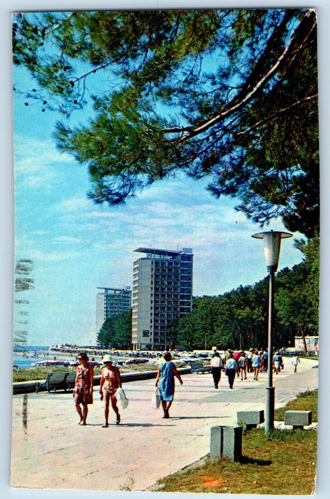 Gagra District Georgia Postcard Black Sea Coast Pitsunda Resort c1950\'s