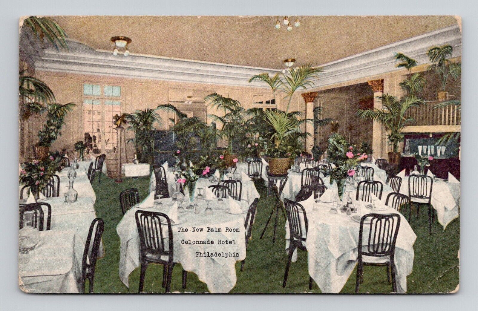 Postcard Colonnade Hotel Palm Room Philadelphia Pennsylvania PA, Antique J5