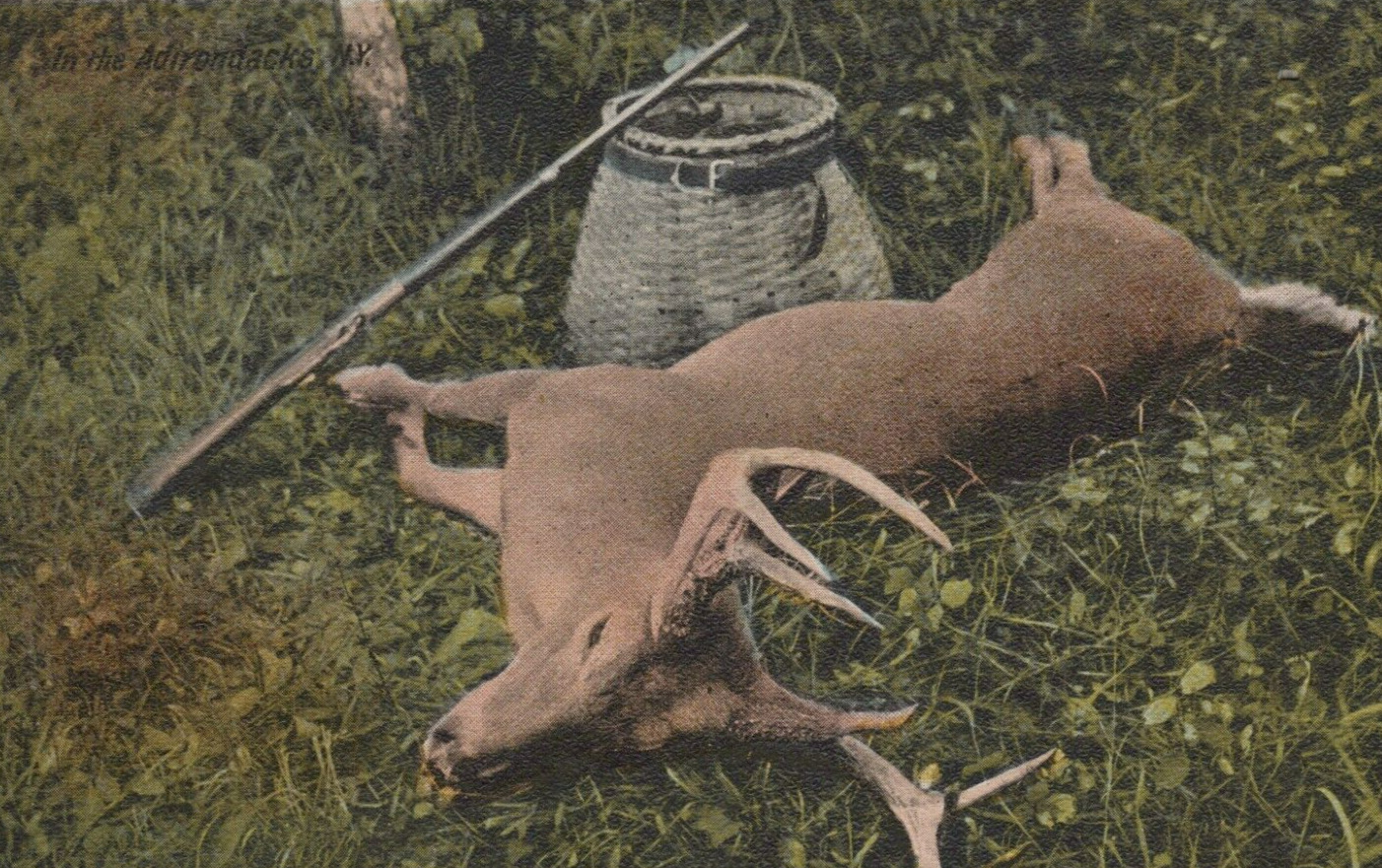 Hunting Big Game in the New York Adirondacks White Border Vintage Post Card