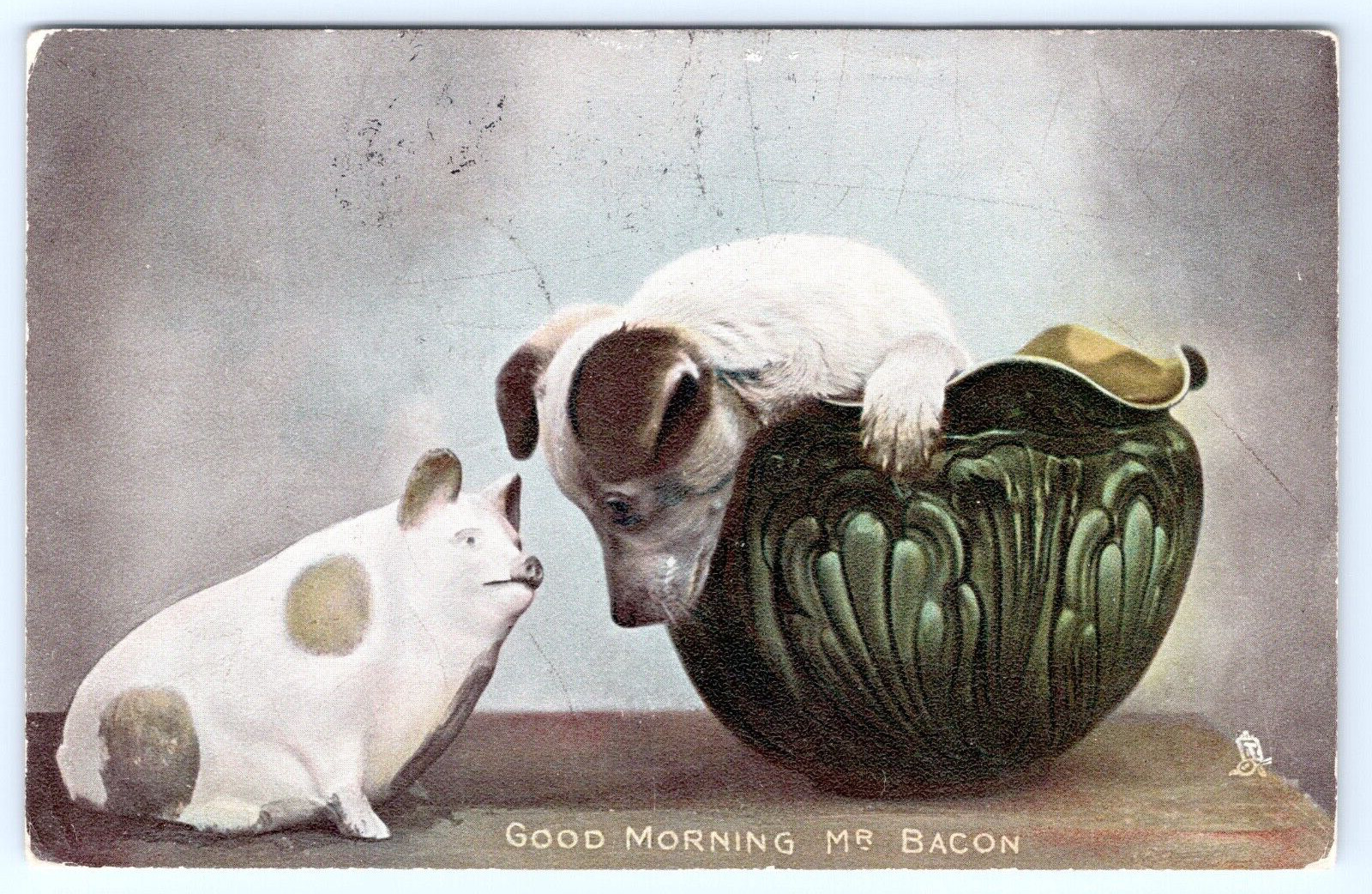 c1908 Good Morning Mr Bacon Vintage Puppy With Pig Postcard By Tuck