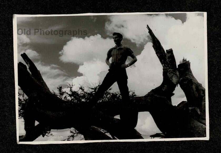 DARK PIC w/CLOUDS HANDSOME TOUGH YOUNG MAN FALLEN TREE OLD/VINTAGE PHOTO- J801